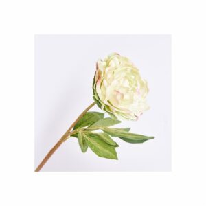 Clavel 67 Cm FREE HOME Verde