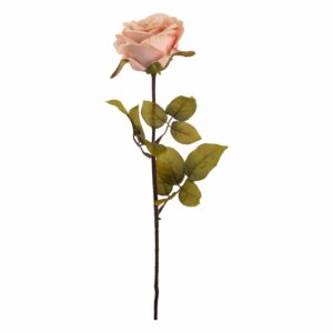 Rosa 67 X 8 Cm FREE HOME Rosado