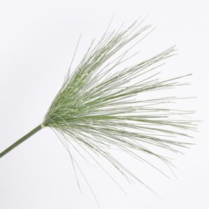 Flor Pajón FREE HOME Verde