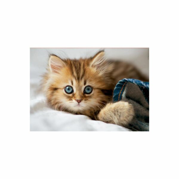 Rompecabezas Gatito EDUCA 200 Piezas - Imagen 2