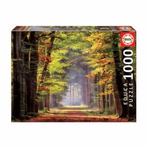 Rompecabezas Paseo Otoñal EDUCA 1000 Piezas