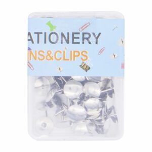 Tachuelas De Cabeza Plana BRETINI 1X100 Uds