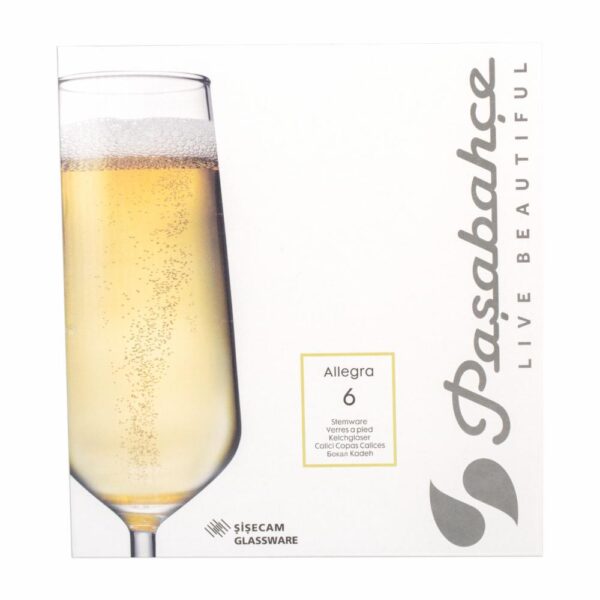 Copa De Champagne Allegra PASABACHE Unidad - Imagen 4