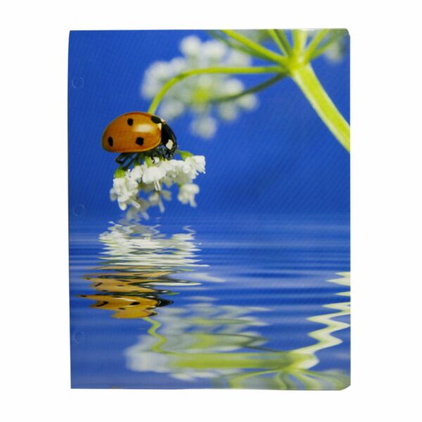 Carpetas Surtidas Con Diseño De Animales PROMARX Unidad - Imagen 6