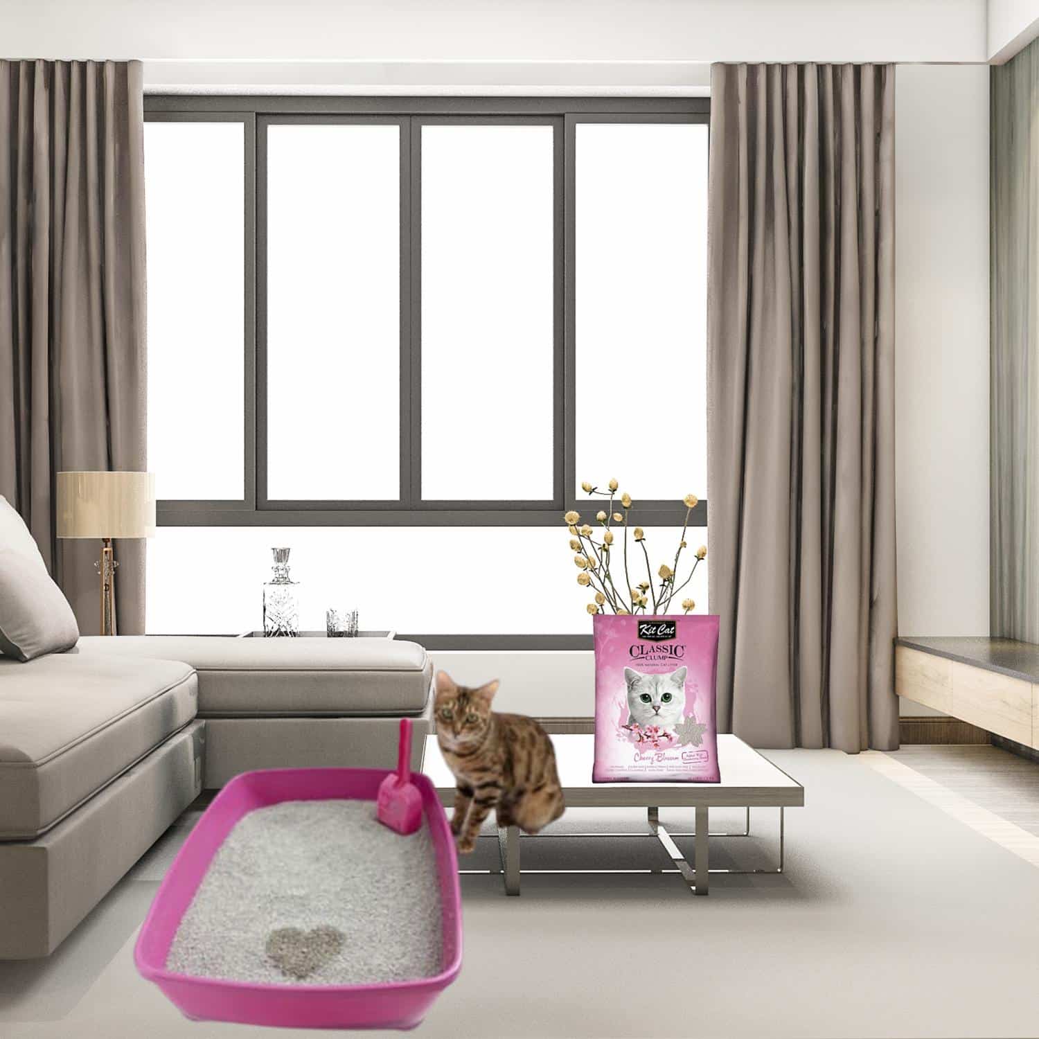 Arena Para Gatos Fragancia Cherry Blossom KIT CAT 7 Kg - Imagen 4