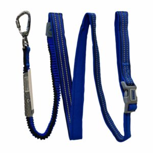 Correa Para Perro Elástica Color Azul DOCO Talla Grande