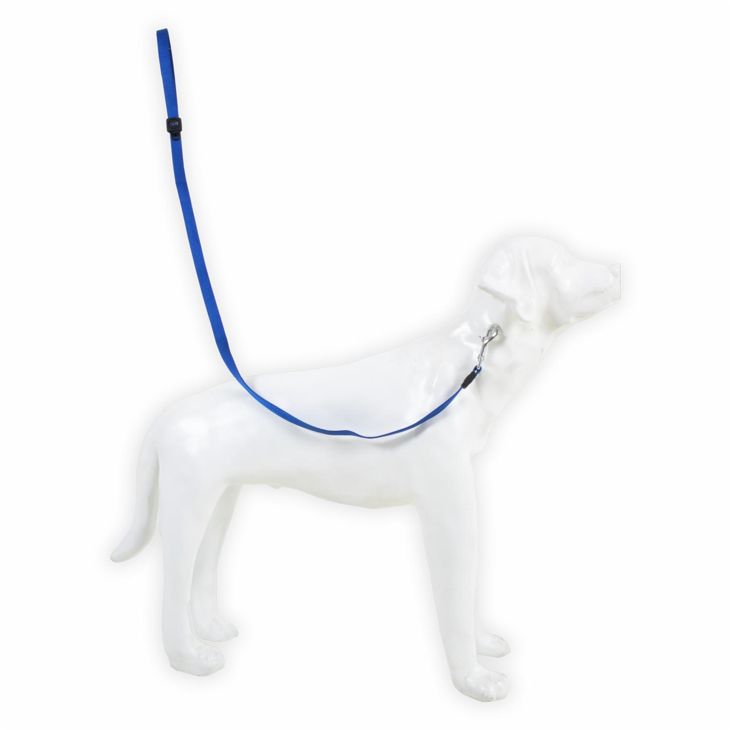 Correa Para Mascota M Nylon Azul DOCO Mediano