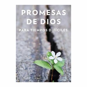 Promesas De Dios Para Tiempos Dificiles Jack Countryman LIBROS ORIGEN 264 Páginas