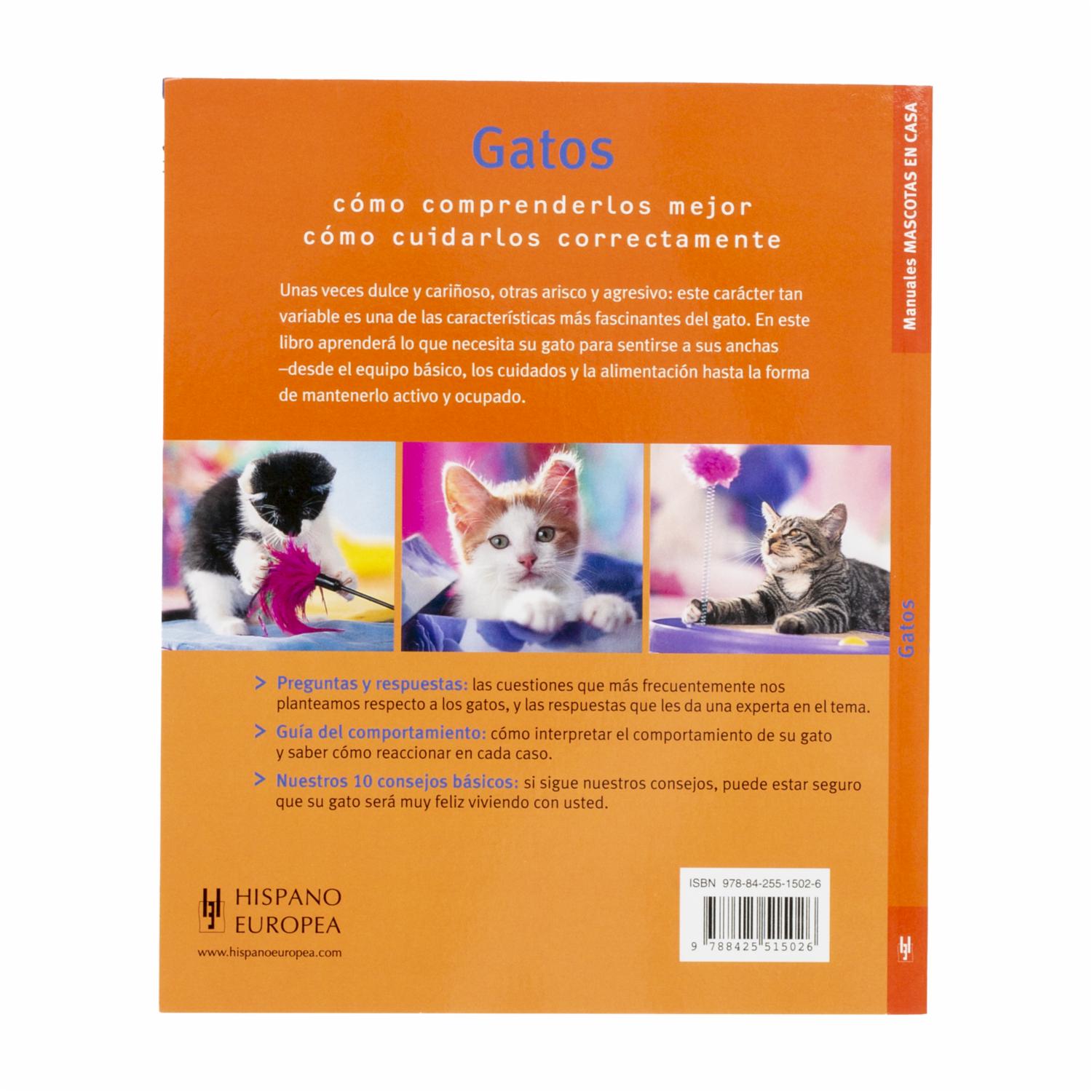 Libro Gatos HISPANO EUROPEA 63 Páginas - Imagen 2