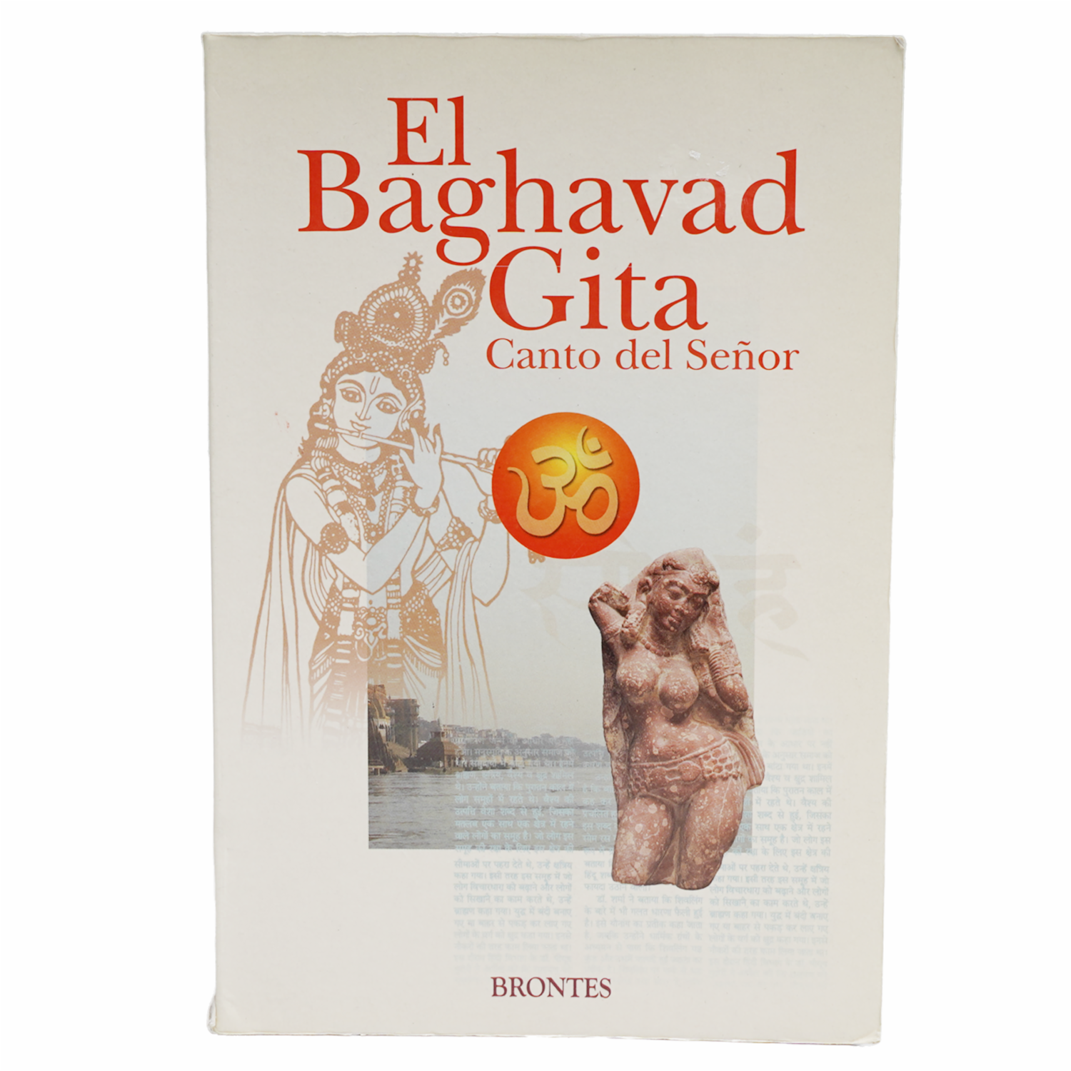 El Baghavad Gita Julio Pardilla MR.BOOKS 224 Páginas - Imagen 2