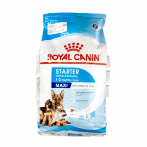 Alimento Para Perros Maxi Starter Mama Y Cachorro ROYAL CANIN 4 Kg