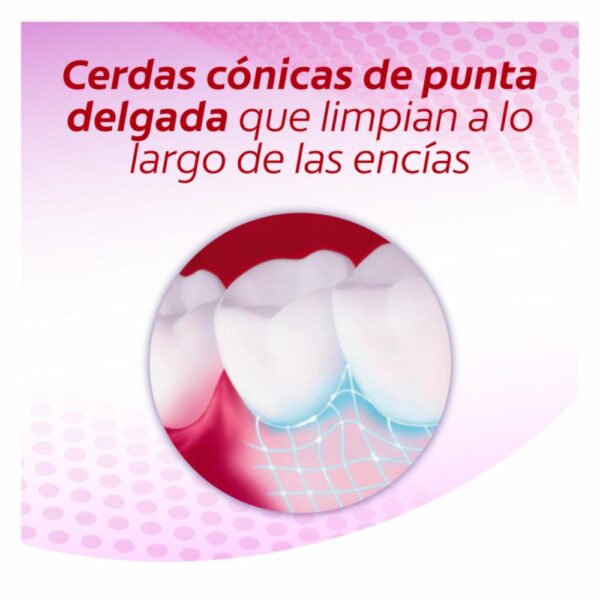 Cepillo Dental Encías Therapy COLGATE 1X2 Unidades - Imagen 3