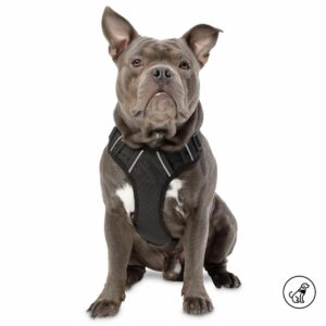 Arnés Para Perro Pechera De Caminata Heikul TOTTO PET´S Talla Mediano