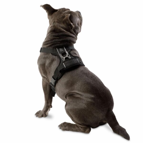 Arnés Para Perro Pechera De Caminata Heikul TOTTO PET´S Talla Mediano - Imagen 2