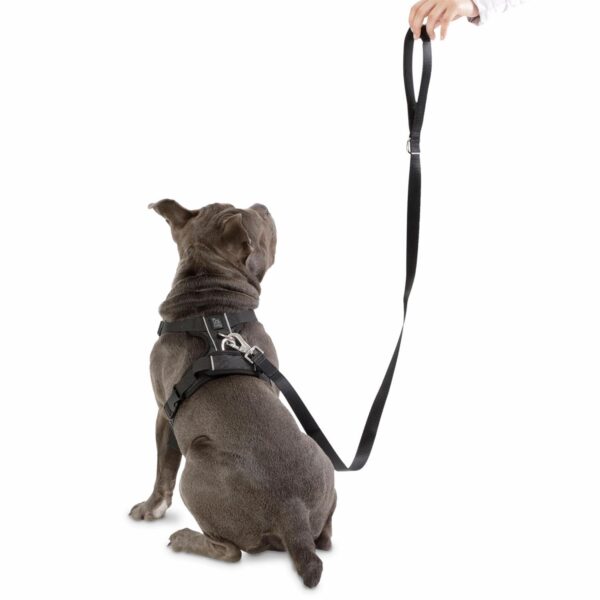 Arnés Para Perro Pechera De Caminata Heikul TOTTO PET´S Talla Mediano - Imagen 3