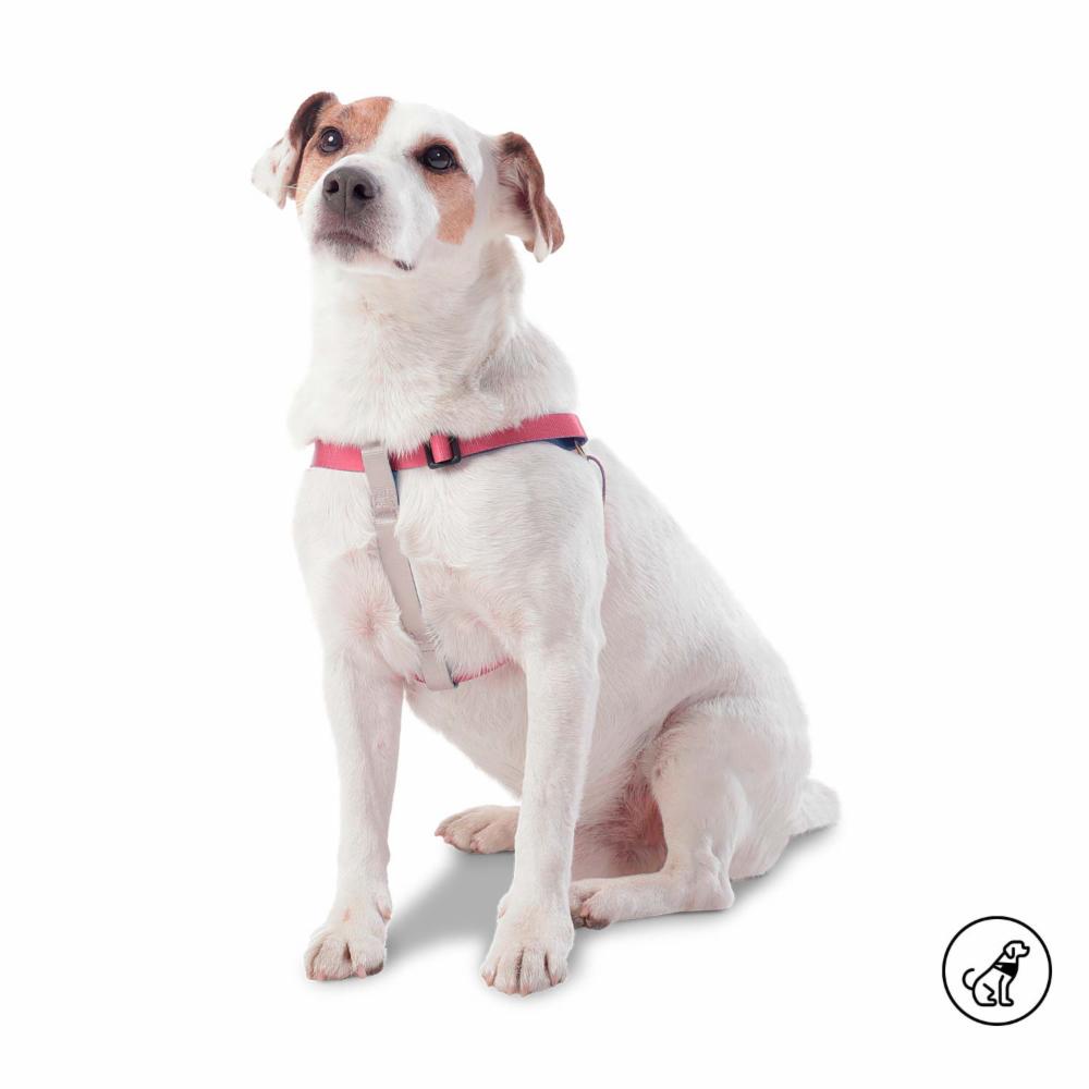 Arnés Para Perro Bruno De Caminata TOTTO PET´S Talla Extra Pequeño - Imagen 3