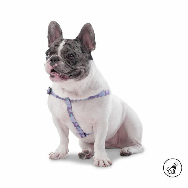 Arnés Para Perro Bruno De Caminata TOTTO PET´S Talla Mediano