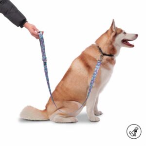 Correa Para Mascota Con Manija Sencilla Odye TOTTO PET´S Talla Grande