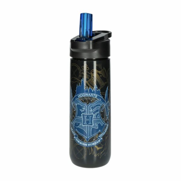 Tomatodo Diseño Harry Poter Golden Magic STOR 820 Ml - Imagen 2