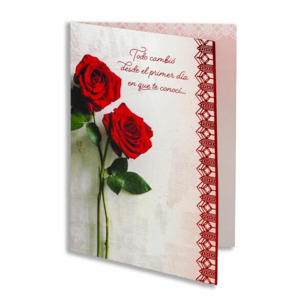 Tarjeta San Valentín HALLMARK 20 cm X 13,5 cm - Imagen 2