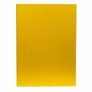 Carpeta 2 Argollas Bicolor Amarilla IDEAL A4