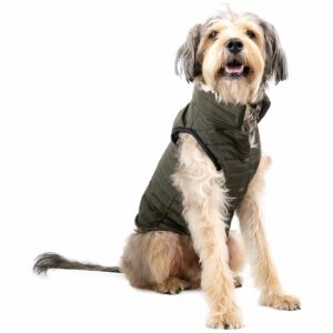 Chaleco Para Mascota Acolchado Color Verde MR. & MRS. Talla Extra Grande