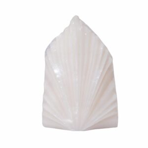 Vela Decorativa Diseño Hoja Palma Beige MAMINA CANDLES Unidad