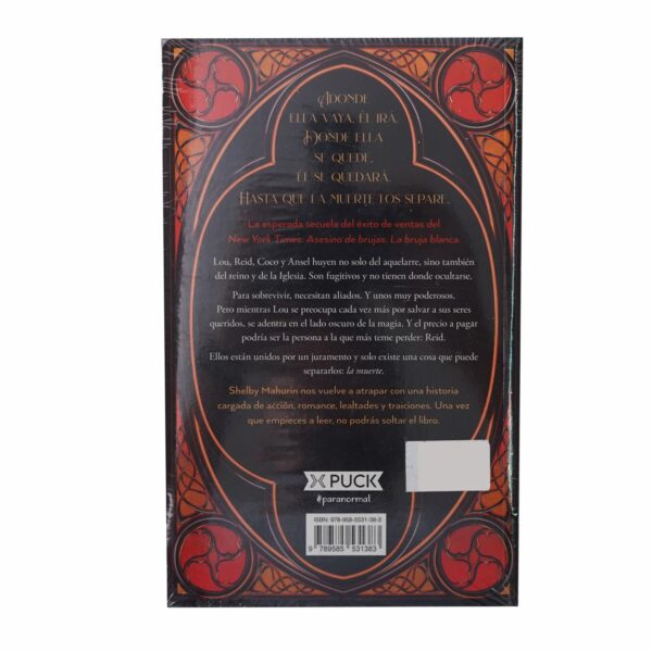 Libro Asesino De Brujas Libro 2 Los Hijos Del Rey MR.BOOKS 380 Páginas - Imagen 2