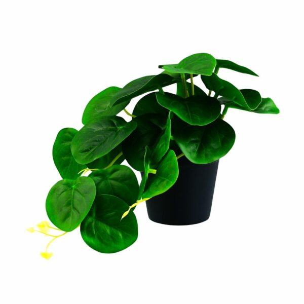 Maceta Negra Hoja Verde GUANGDONG XINXIN Unidad - Imagen 2