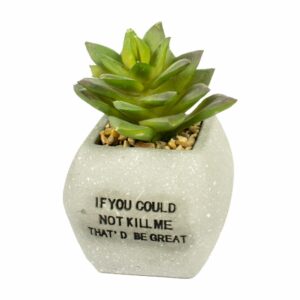 Planta Artificial En Macetero CASAMIGA 1 Pieza