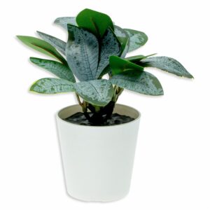 Maceta Decorativa Hojas Verdes Blanco Artificial DONGZHI 14 Cm