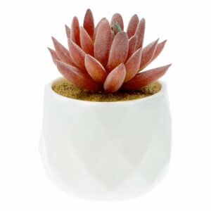 Maceta Decorativa Planta Roja Artificial DONGZHI 10 Cm