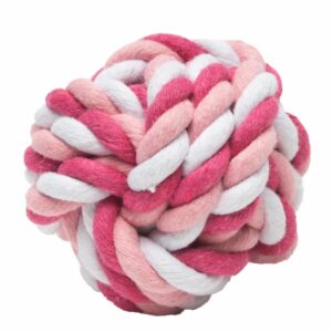 Juguete Cuerda SOLEIL TRADING Para Perro
