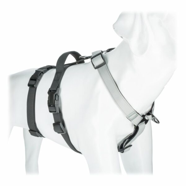 Arnes Para Perro Confortable SOLEIL PET'S WORLD Talla Pequeño