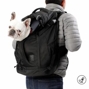 Mochila Cargador De Mascota Meraki TOTTO PET´S Talla Grande
