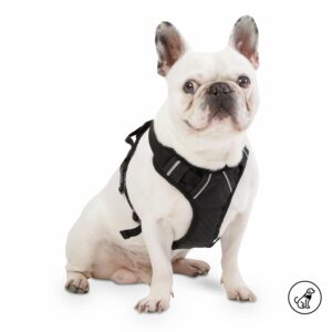 Arnés Para Perro Pechera De Caminata Heikul TOTTO PET´S Talla Pequeño