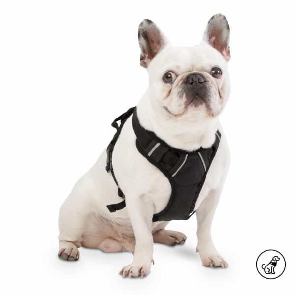 Arnés Para Perro Pechera De Caminata Heikul TOTTO PET´S Talla Pequeño