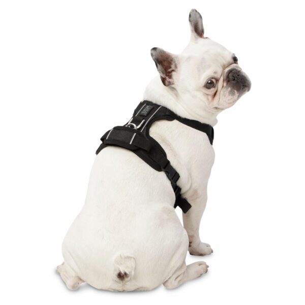 Arnés Para Perro Pechera De Caminata Heikul TOTTO PET´S Talla Pequeño - Imagen 2