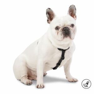 Arnés Para Perro Bruno De Caminata TOTTO PET´S Talla Pequeño