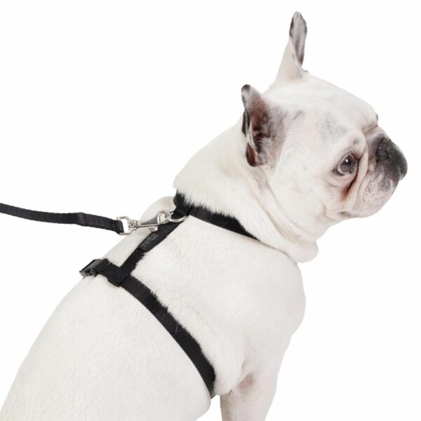 Arnés Para Perro Bruno De Caminata TOTTO PET´S Talla Pequeño - Imagen 3