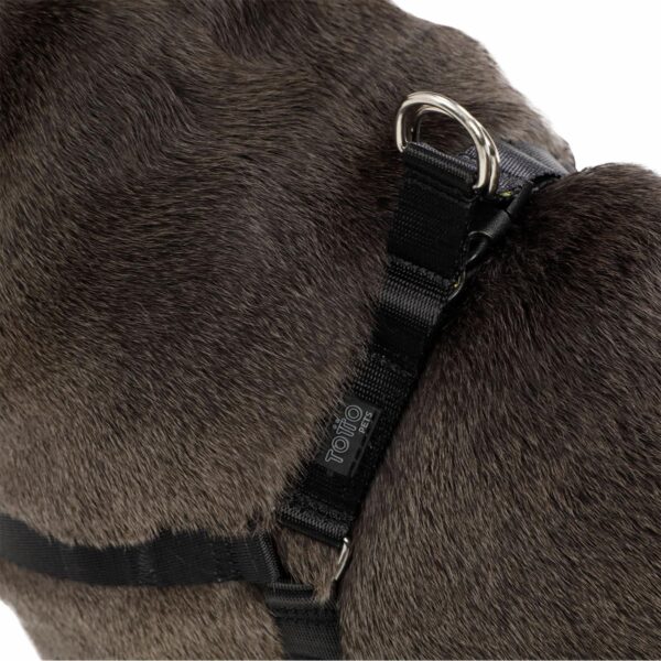 Arnés Para Perro Bruno De Caminata TOTTO PET´S Talla Mediano - Imagen 3