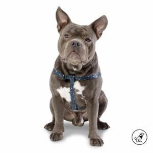 Arnés Para Perro Bruno De Caminata TOTTO PET´S Talla Mediano