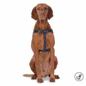 Arnés Para Perro Bruno De Caminata TOTTO PET´S Talla Extra Grande
