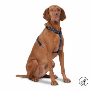 Arnés Para Perro Figgo De Caminata TOTTO PET´S Talla Grande