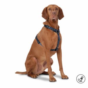 Arnés Para Perro Figgo De Caminata TOTTO PET´S Talla Extra Grande