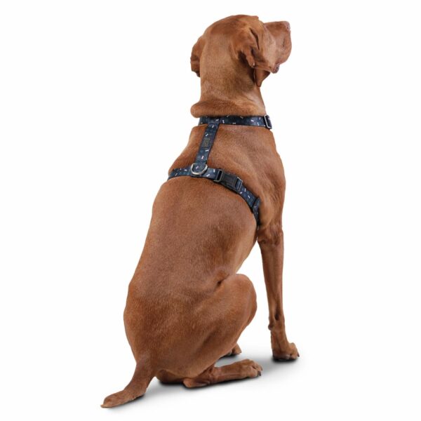 Arnés Para Perro Figgo De Caminata TOTTO PET´S Talla Extra Grande - Imagen 2