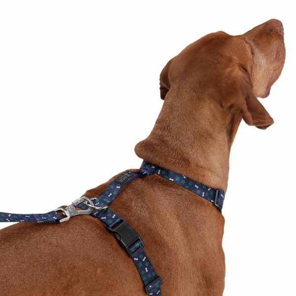 Arnés Para Perro Figgo De Caminata TOTTO PET´S Talla Extra Grande - Imagen 3