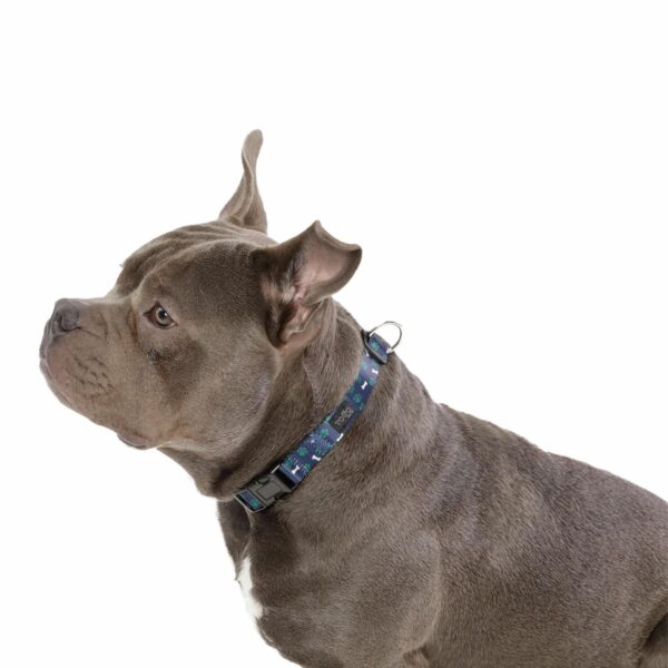 Collar De Mascota Ajustable Mylu TOTTO PET´S Talla Mediano - Imagen 2