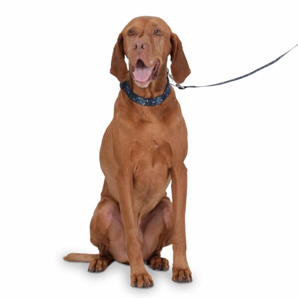 Collar De Mascota Ajustable Mylu TOTTO PET´S Talla Grande - Imagen 2
