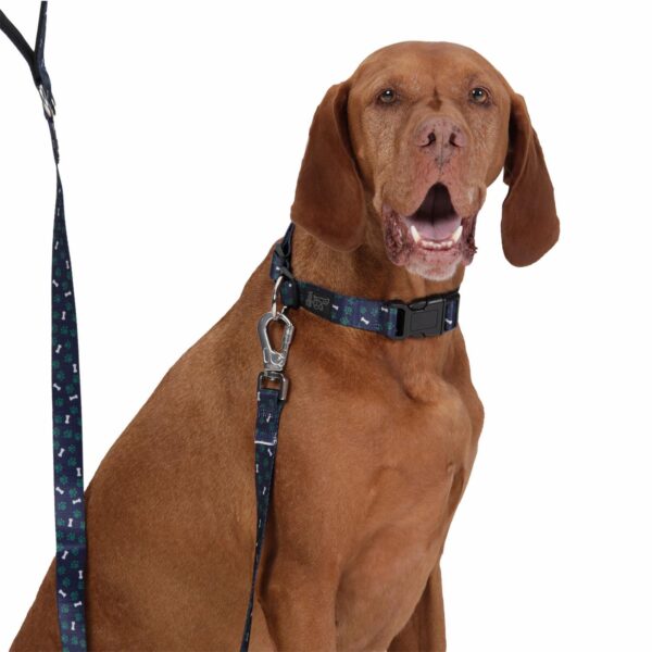 Collar De Mascota Ajustable Mylu TOTTO PET´S Talla Grande - Imagen 3